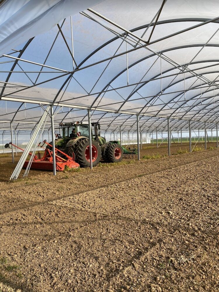 Préparation du sol au tracteur sous l'un des tunnels de la ferme