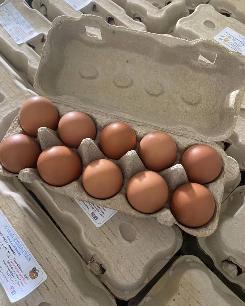 Boîte d'œufs extra-frais de la ferme